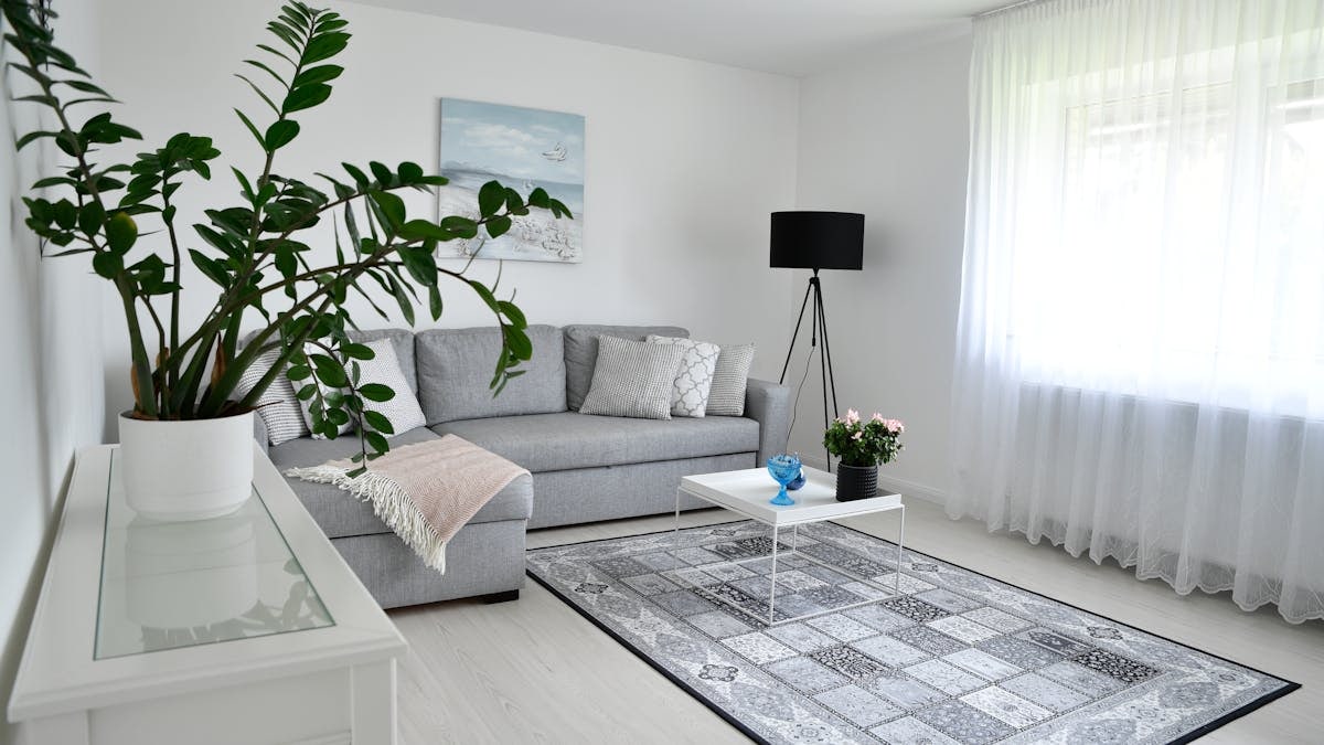 Bright Scandinavian-style living room with gray sofa, houseplants, and cozy decor.